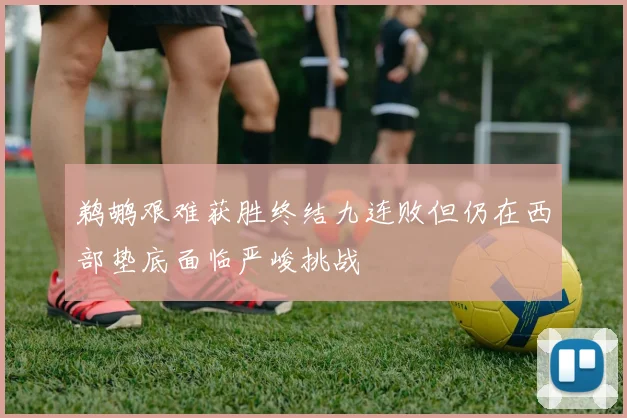 鹈鹕艰难获胜终结九连败但仍在西部垫底面临严峻挑战