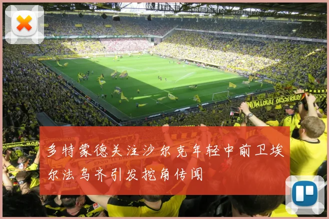 多特蒙德关注沙尔克年轻中前卫埃尔法乌齐引发挖角传闻