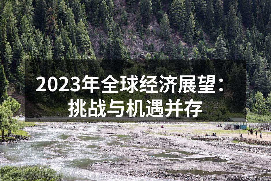 全球经济展望分析图
