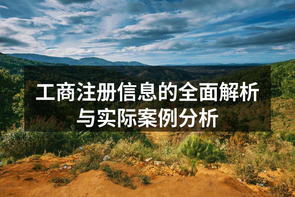 工商注册流程图示