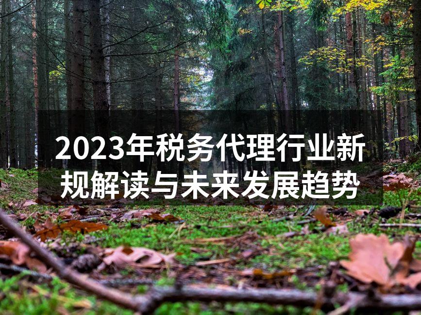 税务代理行业新规解读